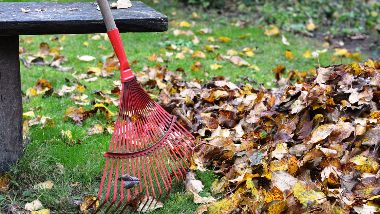 Zöldhulladékos zsákok átvétele