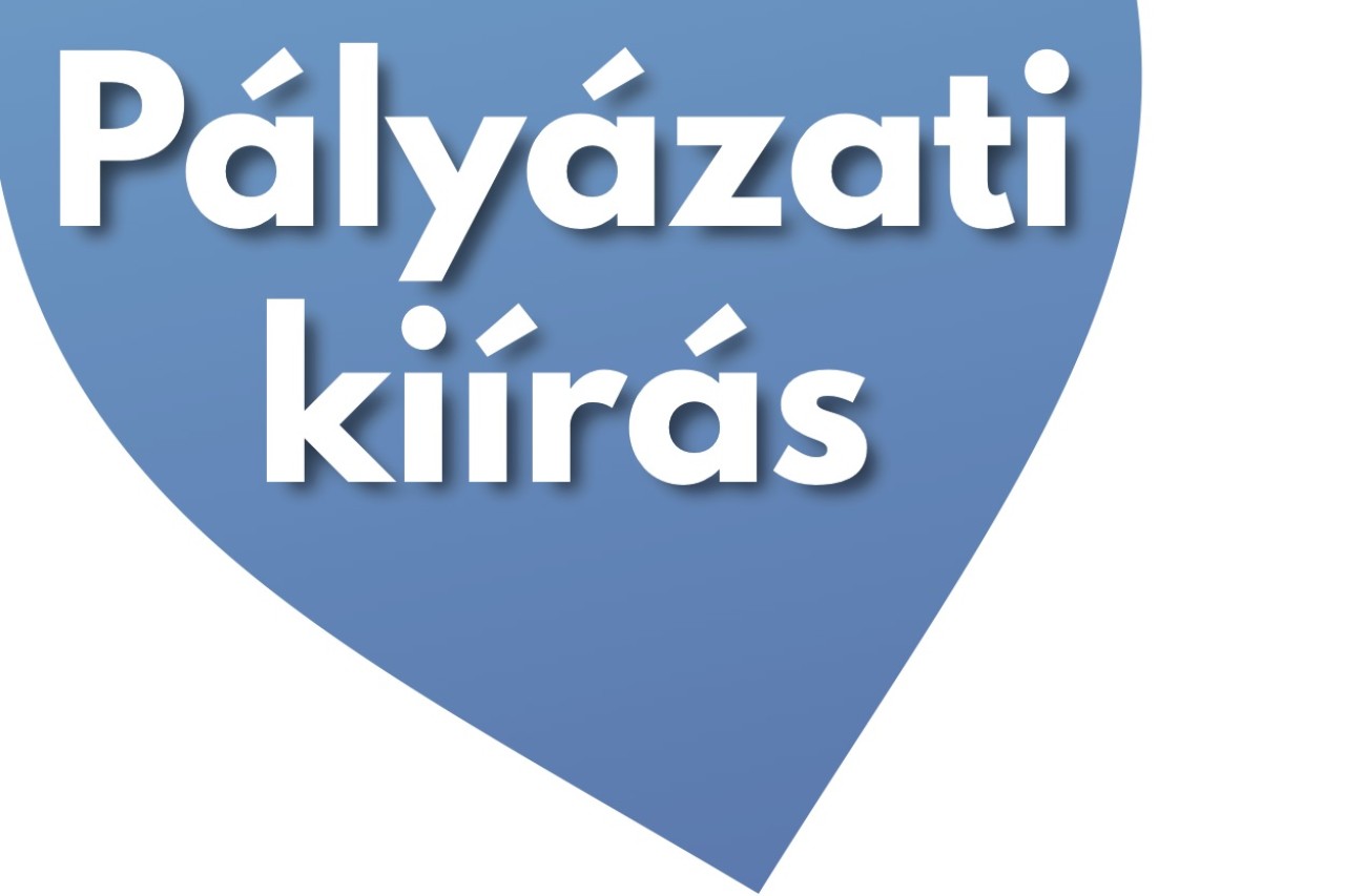 Intézményvezetői pályázat